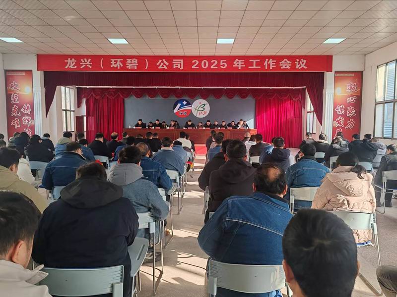 龙兴(华亿(中国)一站式服务平台)公司召开2025年工作会议